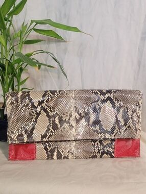 Snake-Print Foldover Clutch with Red Accent